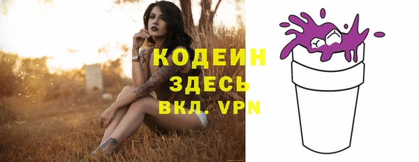 шишки Усолье-Сибирское