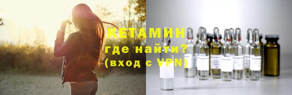 шишки Усолье-Сибирское