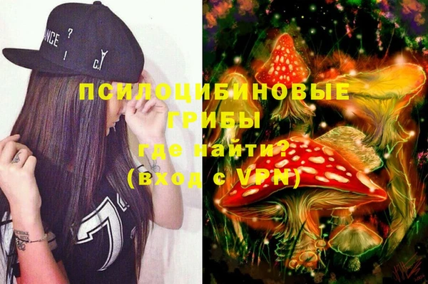 экстази Белокуриха