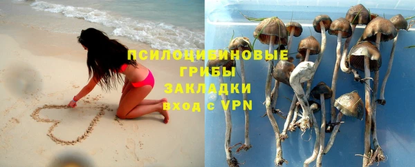 шишки Усолье-Сибирское