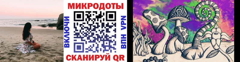 Галлюциногенные грибы MAGIC MUSHROOMS  сайты даркнета телеграм  Нефтекумск 