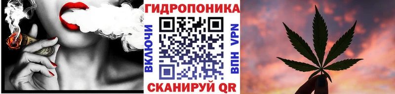Шишки марихуана сатива  Нефтекумск 
